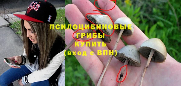 дживик Володарск